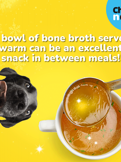 A bowl of bone broth served warm is an excellent and nutritious snack between meals during the winter. It also helps with hydration.