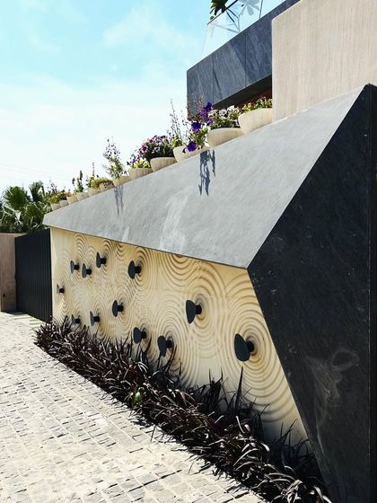 A Closer Look: Plants & Details photo 21