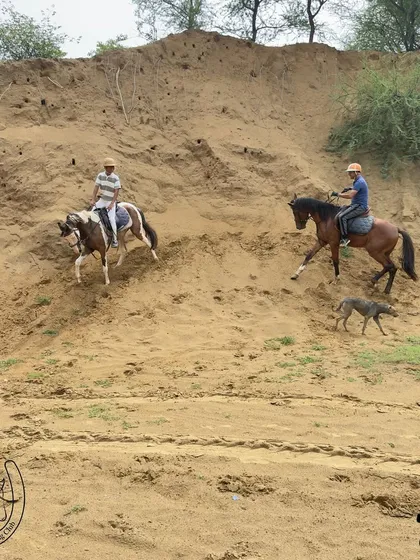 For those who seek a bit more challenge, our trails include varied terrains like these sandy inclines. It’s a great way to build confidence and experience the capability of our trail horses, with one of our friendly dogs often trotting alongside.