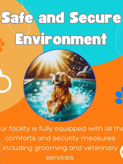Your pet's safety is our top priority. Our facility is a secure, fully equipped environment with everything from a swimming pool to on-call veterinary services.