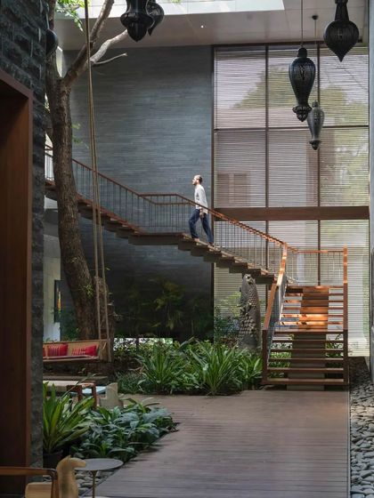 A floating staircase wraps around an existing tree inside the house, turning circulation into an experience of being amongst the branches.