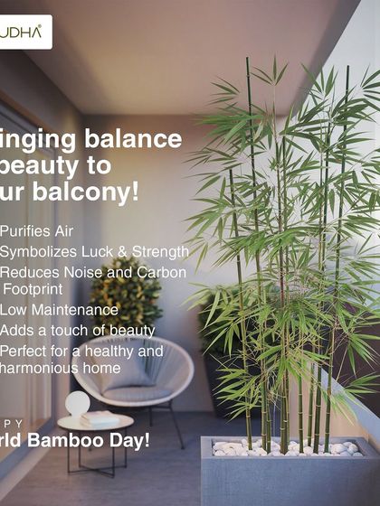 Paudha - Commercial Biophilic & Interior Design Our Design Philosophy & Tips photo 5