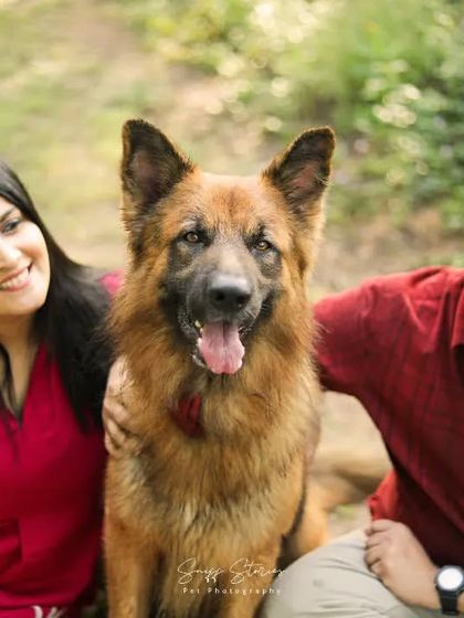 Sniff Stories - Pet & Family Photography Our Family Story photo 5