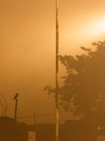 The same foggy scene with a different white balance, giving the image a warm, orange glow from the streetlights.