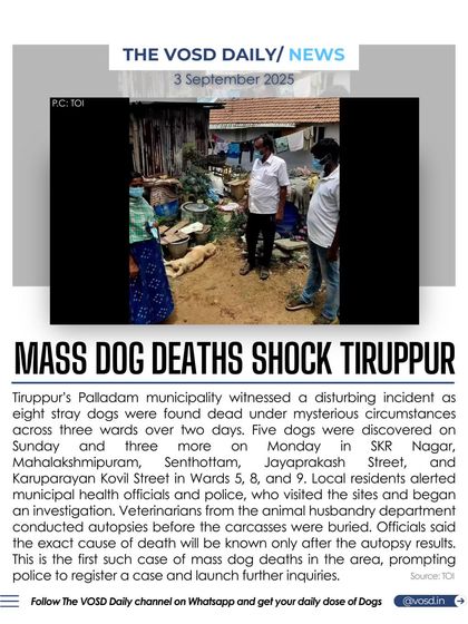 The mysterious deaths of eight stray dogs in Tiruppur have shocked the community. An investigation is underway, with officials awaiting autopsy results to determine the cause of death.