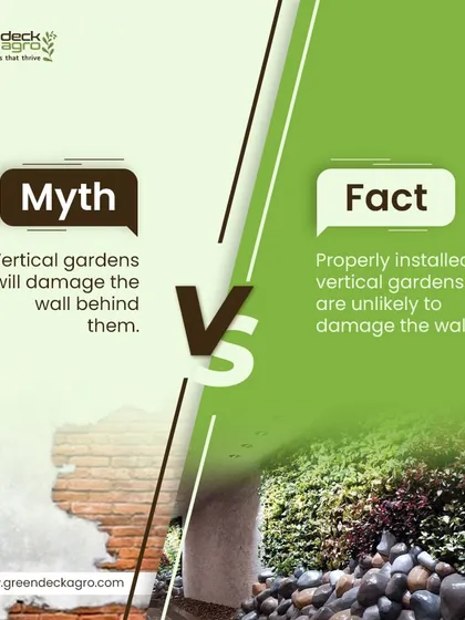 A common myth is that vertical gardens damage walls. The fact is, our professionally installed systems include a protective barrier and proper drainage, ensuring the structure behind remains safe and dry.