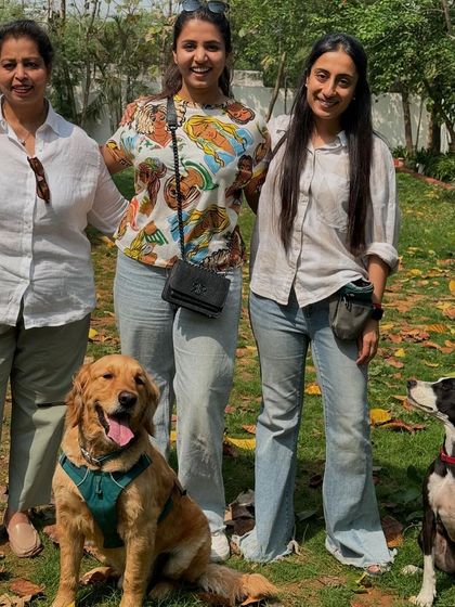 Zorro, a handsome Golden Retriever, is back for a refresher program to work on some new insecurities. Training is a lifelong journey.