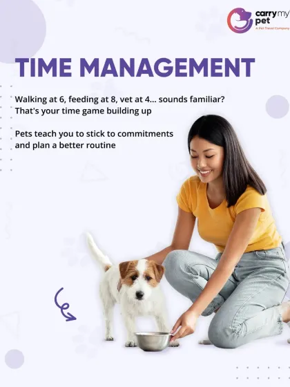 CarryMyPet - Pet Travel & Parenting Consultation The Heart of a Pet Parent photo 11