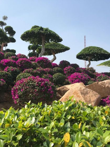 Ratnashri Landscapers - Landscape Design & Build Grand Scale: Farmhouses & Botanical Gardens photo 6