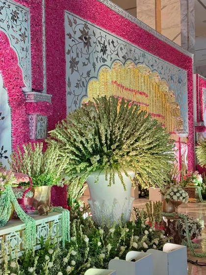 A floral paradise brought to life. This shot highlights the lushness of the arrangements, with large green bouquets contrasting beautifully against the pink and white floral walls. 🌸✨