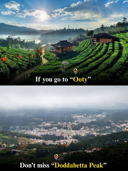 A trip to Ooty is incomplete without visiting Doddabetta Peak, the highest point in the Nilgiris. The panoramic views are incredible.