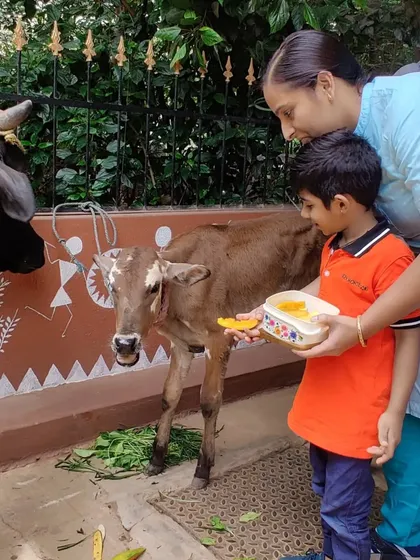 Experiential learning is at the heart of what I do. When a cow and her calf visited us, the children learned about empathy and our connection to other living beings by feeding them directly. These are the lessons that build character alongside knowledge.