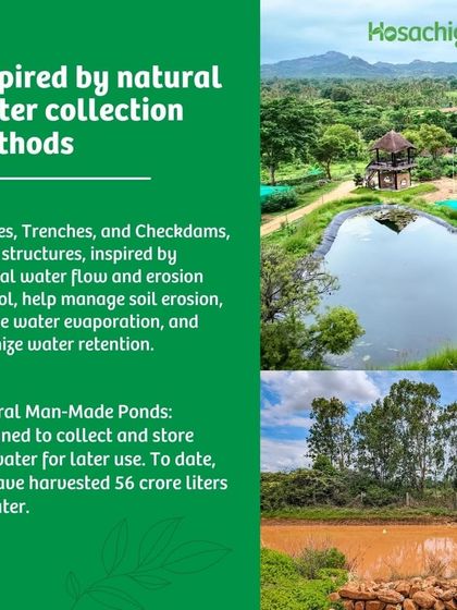 We are inspired by nature's own engineering. Our use of swales, trenches, and natural ponds mimics how natural ecosystems manage water, optimizing retention and reducing evaporation.