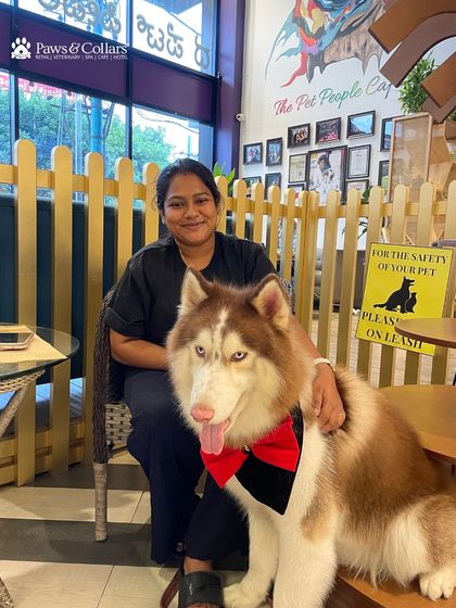 PawsnCollars - Pet-Friendly Café Our Paws & Collars Family photo 7