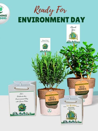 Greening Wonders - Corporate & Personal Plant Gifting Additional Work photo 3