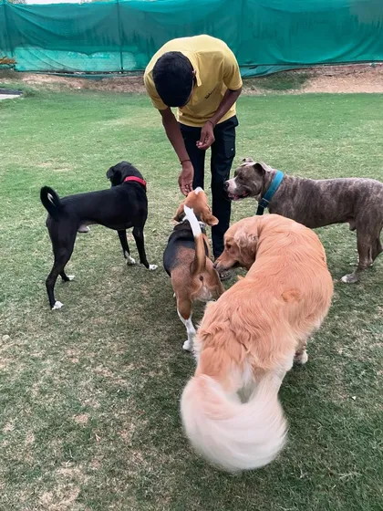 Our caretakers are experts at getting everyone's attention, especially when treats are involved! We love them all, from the energetic Pitbull to the gentle Golden Retriever.