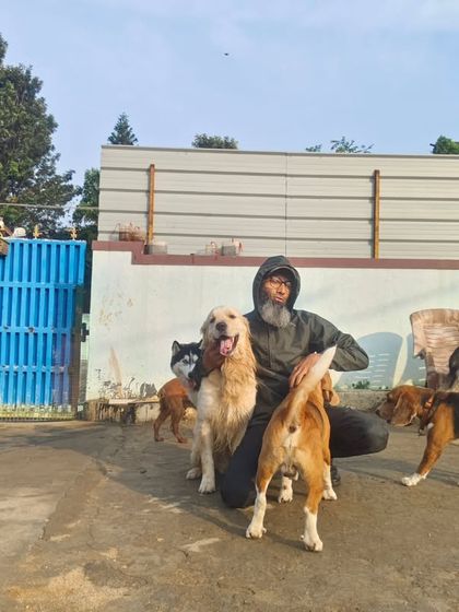 Just me and my gang. A Golden, a Husky, a Beagle, and a German Shepherd all getting along.