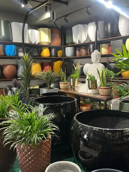 Our store is a treasure trove for plant lovers, with over 500 planter models to choose from. This shot shows just a fraction of our collection, from glossy black statement pieces to colorful ceramics and textured fibre pots, ready to find a home.