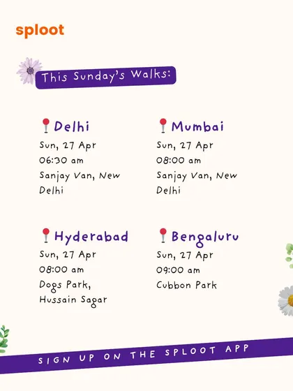 Details for our community walks across four major cities. Don't miss out, spots are free but they fill up fast.