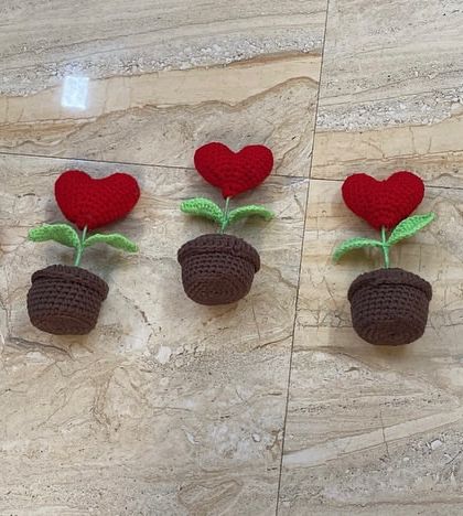 Bulk Orders for Events photo 8