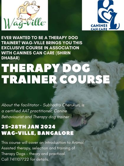 Poochkoo - Pet Events & Parties Safety & Expertise photo 4