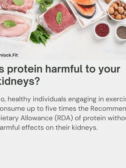 Myth: Protein is harmful to your kidneys. Fact: Healthy, exercising individuals can consume high amounts of protein, up to five times the RDA, without any harmful effects on their kidneys.
