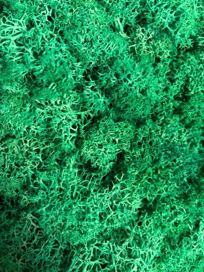 Best of Bharat - 3D & Sculptural Wall Art Preserved Moss Art photo 4