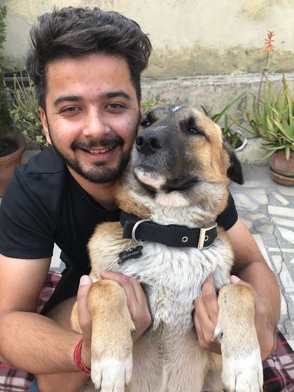 A typical moment with Brownie. He has a very expressive face that always lets me know what he's thinking. This constant, silent communication is what I strive to help all my clients build with their own dogs.