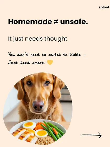 Homemade doesn't have to be unsafe, it just requires careful planning. You don't need to switch to kibble, just feed smarter with balanced, protein-rich meals.