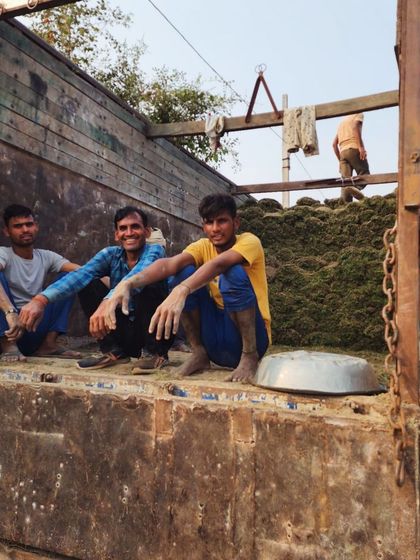 Delhi Gardner - Wholesale Plant & Turf Supply Natural Grass Turf: From Our Farm to Your Project photo 118