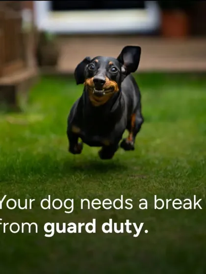 Your dog needs a break from guard duty. While a barking dog can be a deterrent, our comprehensive AI and human response system provides a more reliable layer of protection.