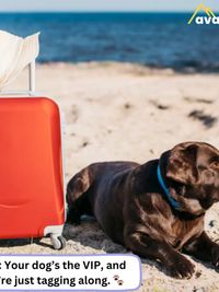 Pet-Friendly Retreats