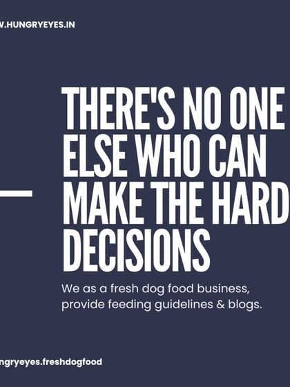 Hungry Eyes - Natural Pet Treats & Chews Our Food Philosophy photo 5