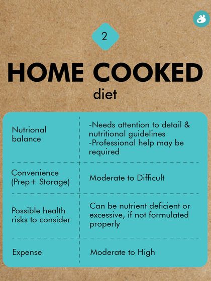 The Pack - Pet Parent Education & Workshops The Healthy Bowl: Canine Nutrition & Recipes photo 30