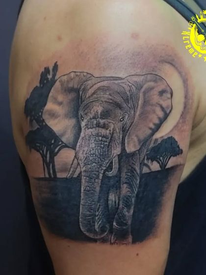 A realistic black and grey tattoo of an elephant in the savanna. This large shoulder piece captures the majestic presence of the animal in its natural habitat.