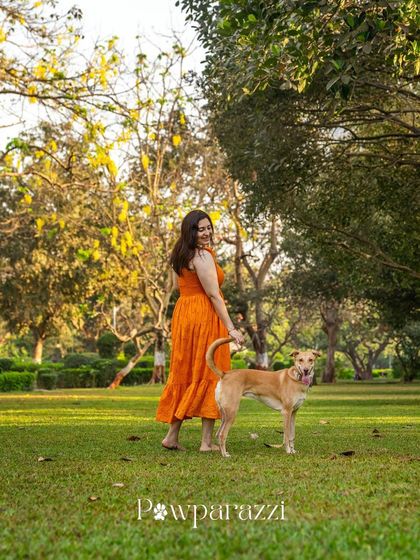 Pawparazzi By Prathima - Pet Milestone Photography Adopted & Rescued Stories photo 11