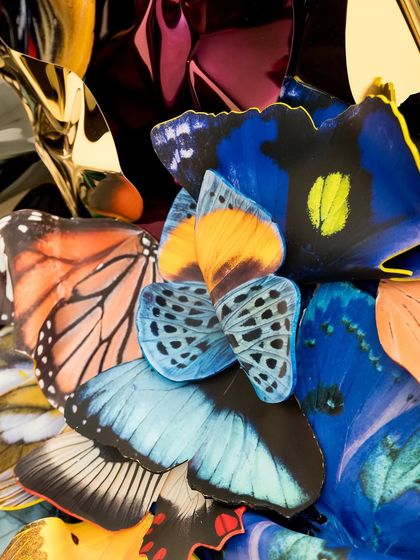 A macro detail of the vibrant blue and orange butterfly wings against the metallic background.