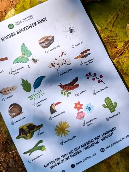 Our Nature Scavenger Hunt isn't just a game; it's a guided mission to look closer. This checklist encourages children to find everything from a smooth rock to three different kinds of leaves, transforming them into keen-eyed naturalists.