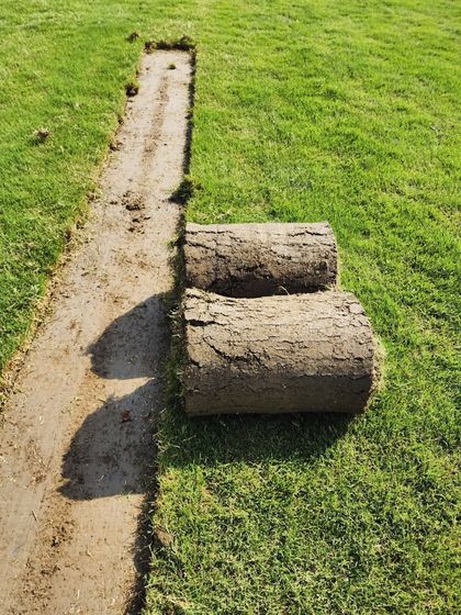 Delhi Gardner - Full-Service Landscaping Premium Lawn & Turf Solutions photo 15