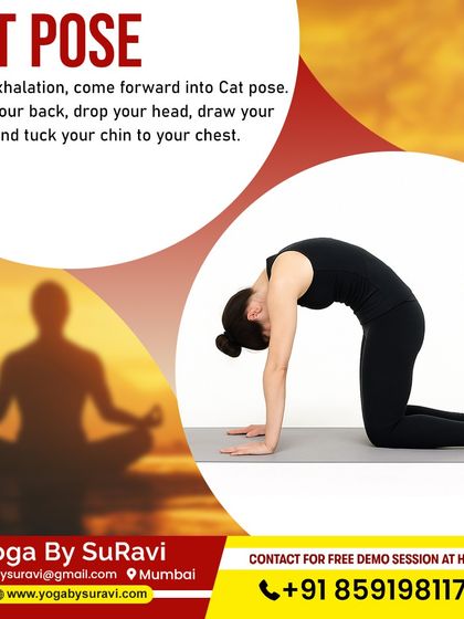 The Cat Pose is a gentle movement that helps round the back and release tension, making it ideal for relieving stiffness in the spine.