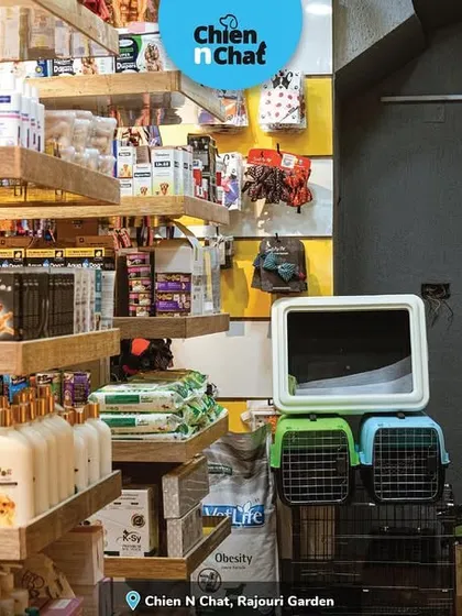 Need a travel carrier for your cat or dog? I've got them. This shot from my Rajouri Garden store shows some of the carriers I stock, alongside grooming supplies and other essentials.