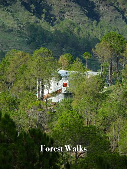 Himalayan & Nature Retreats photo 6