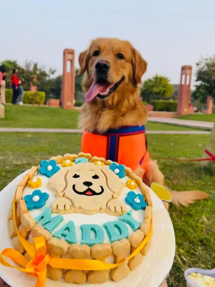 Maddy enjoying a beautiful day at the park for his 2nd birthday. His custom cake was the centerpiece of the celebration.