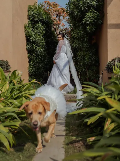 Even the furry family members get to be part of the celebration! We love capturing these fun and unexpected moments, like the bride's dog making a joyful appearance.