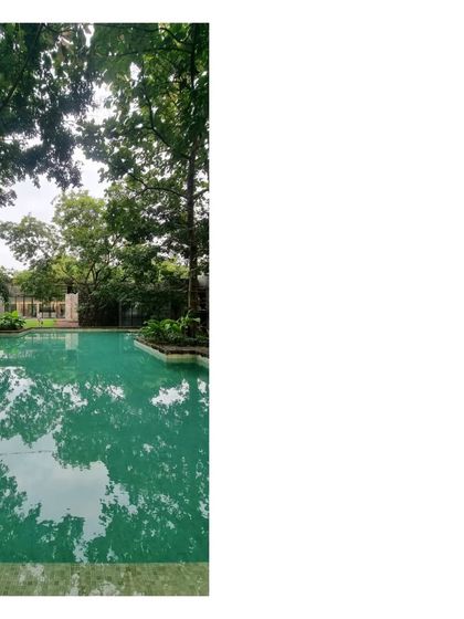 The 'House in a Grove' seen from across the pool. The home is designed to be barely visible, a quiet presence in the landscape.
