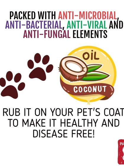 Pawtbelly - Fresh Dog Food Delivery Doggo Health & Nutrition Tips photo 5
