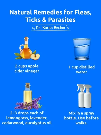 Looking for a natural remedy for fleas and ticks? This DIY spray from Dr. Karen Becker uses apple cider vinegar and essential oils. Just mix and spritz before walks.