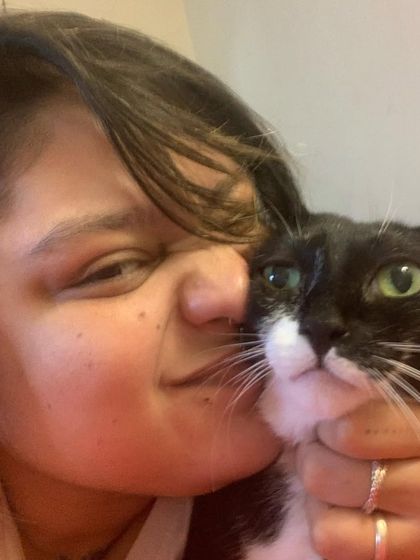 Cuddles with this handsome tuxedo cat. Every cat that comes into my care, whether for boarding or rescue, leaves a paw print on my heart.