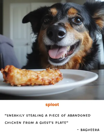 We know what dogs dream of. For Bagheera, it's sneakily stealing a piece of abandoned chicken from a guest's plate. Our meals are designed to be just as tempting.