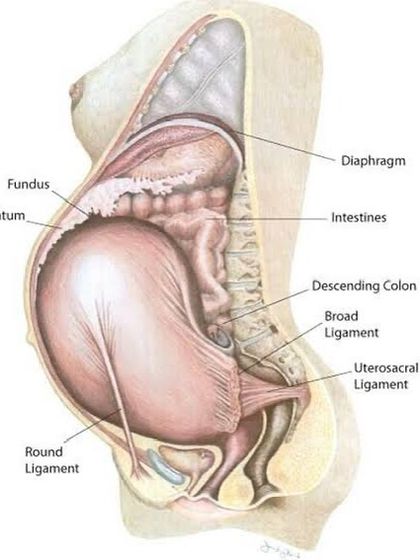 Pujitha Shetty - Postpartum & Newborn Care The Mother's Fourth Trimester Journey photo 3